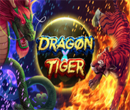 Dragon X Tiger